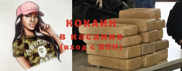 гашик Анива