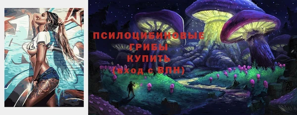 прущие грибы Аксай