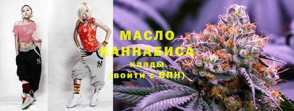 гашик Анива
