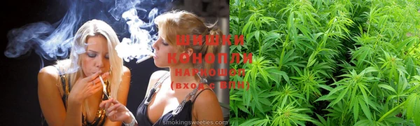 гашик Анива