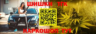 хмурый Кингисепп