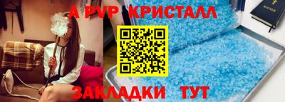 хмурый Кингисепп