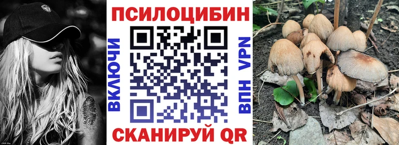 где продают hydra зеркало Галлюциногенные грибы Psilocybe Рыбинск