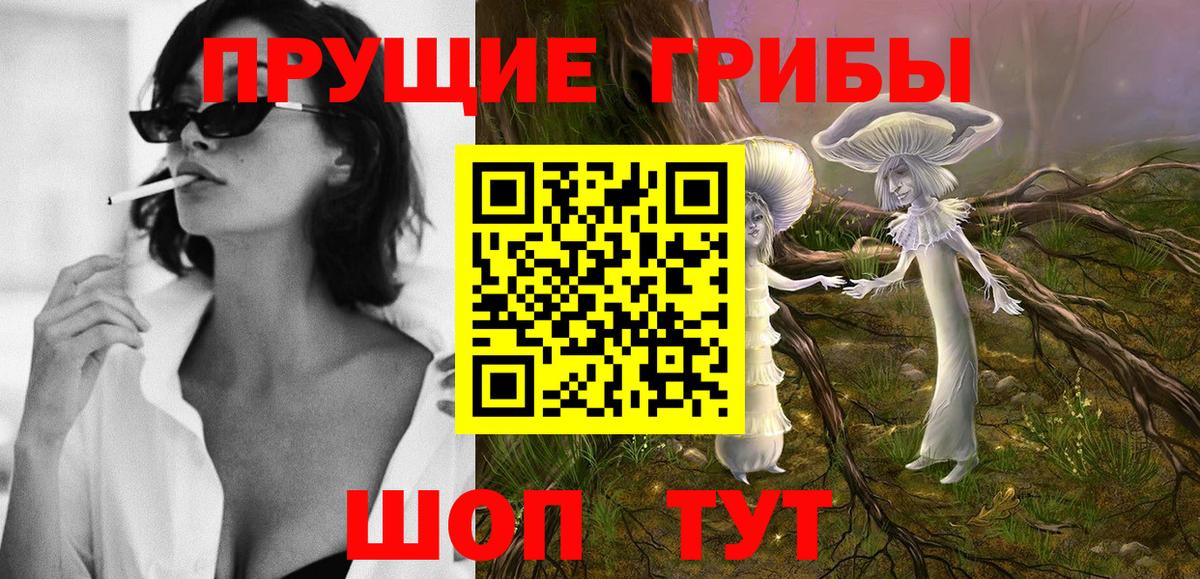 Рыбинск  Галлюциногенные грибы Cubensis  Вход с VPN 